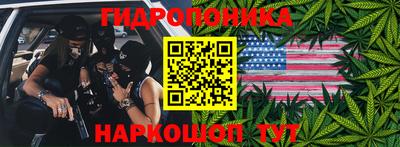 винт Партизанск