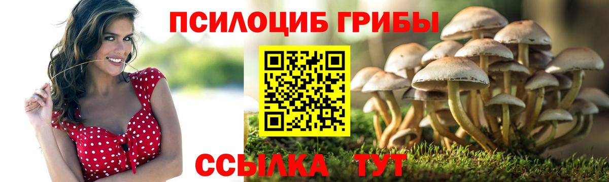 Псилоцибиновые грибы прущие грибы  Вход с VPN  Псилоцибиновые грибы Cubensis  Саянск 